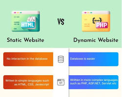 Static vs Dynamic Website: Which Is Right for Your Business?